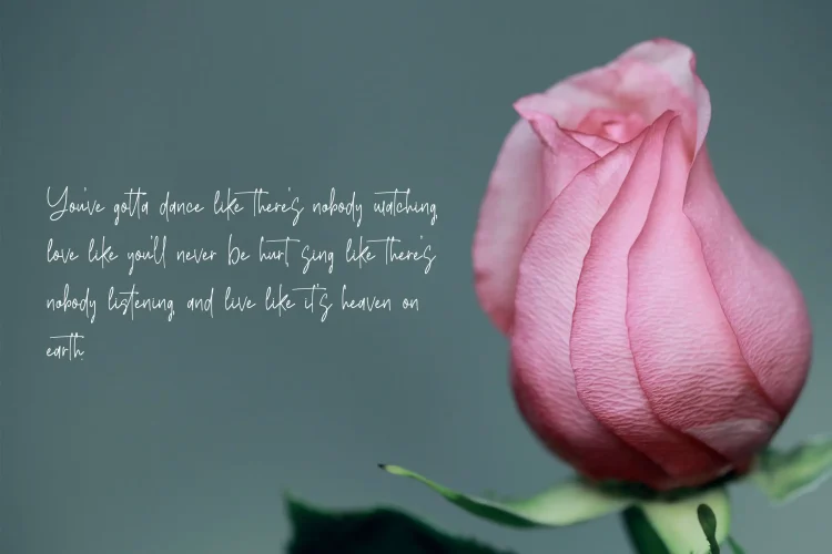 Signature Script Font