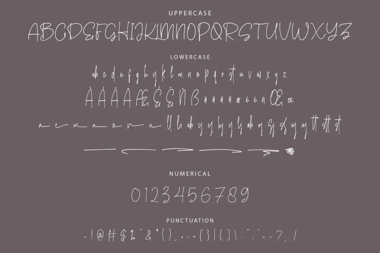 Conellista - Signature Script Font - Image 6