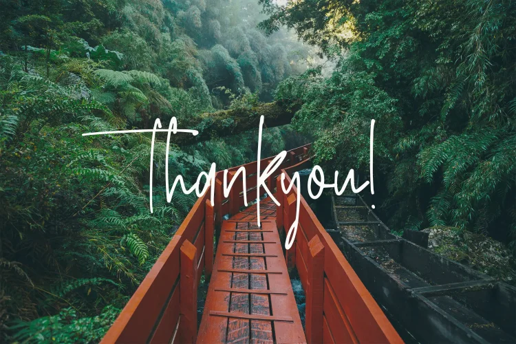 Signature Script Font