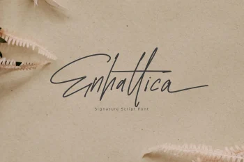 Signature Script Font