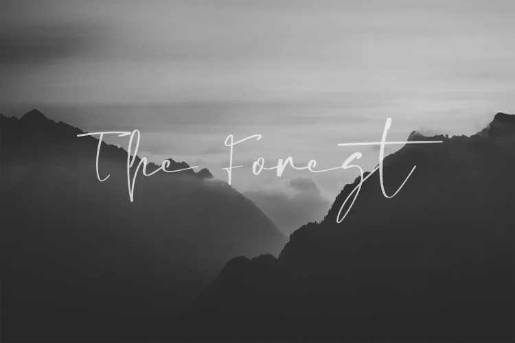 Signature Script Font