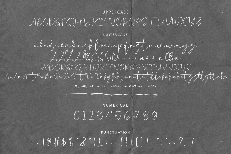 Signature Script Font