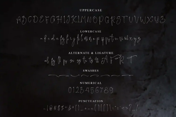 Signature Script Font