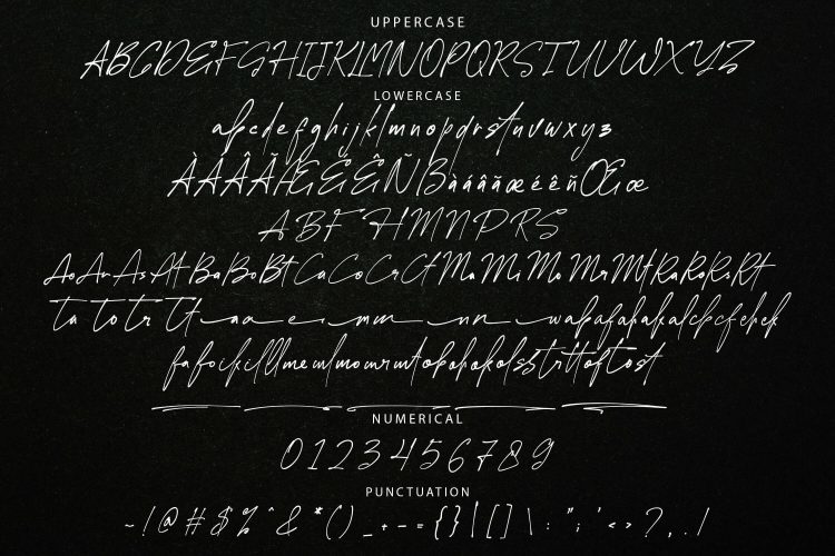 Signature Script Font