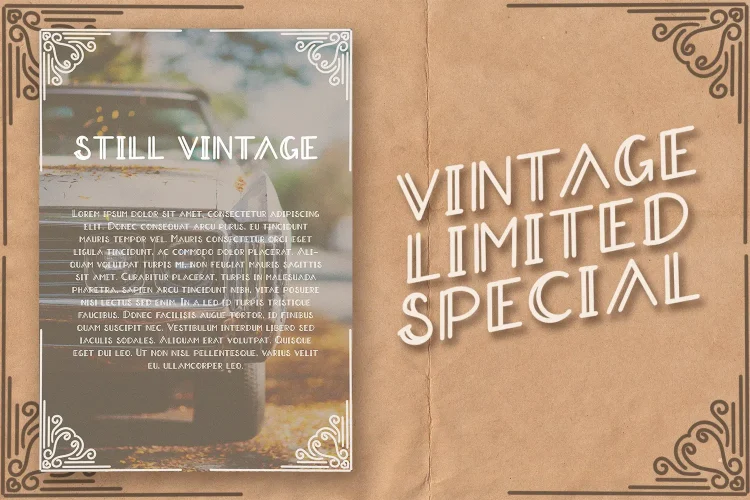 Vintage Display Font