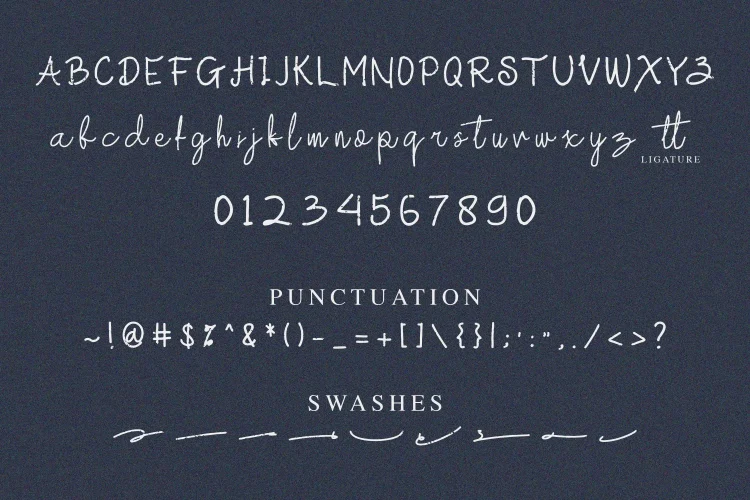 Vintage Script Font