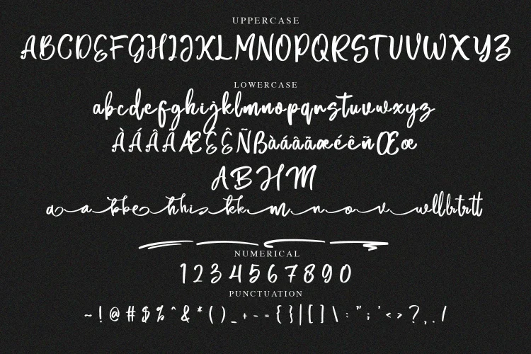Brush Script Font