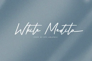 Brush Script Font