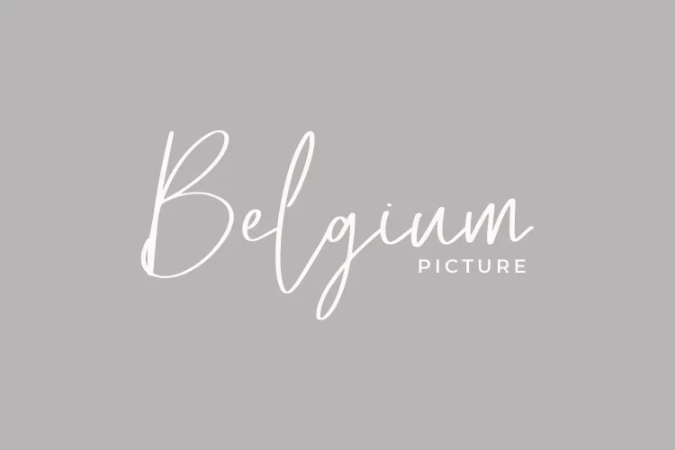 Elegant Script Font