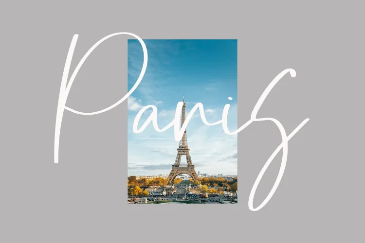 Elegant Script Font
