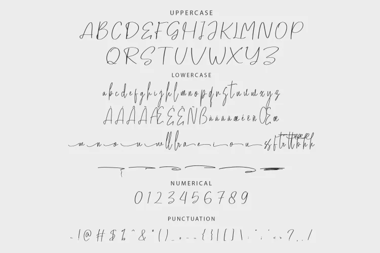 Elegant Script Font