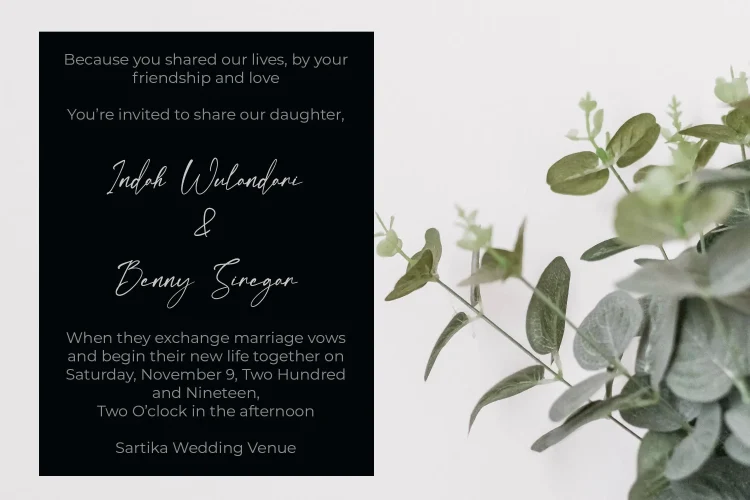 Elegant Script Font