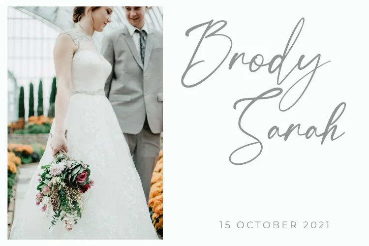 Elegant Script Font