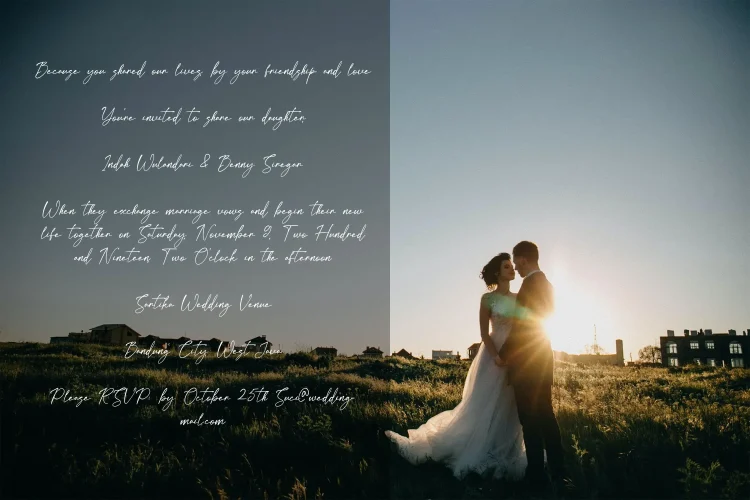 Elegant Script Font