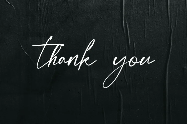 Elegant Script Font