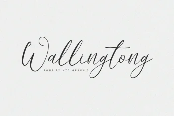 Elegant Script Font