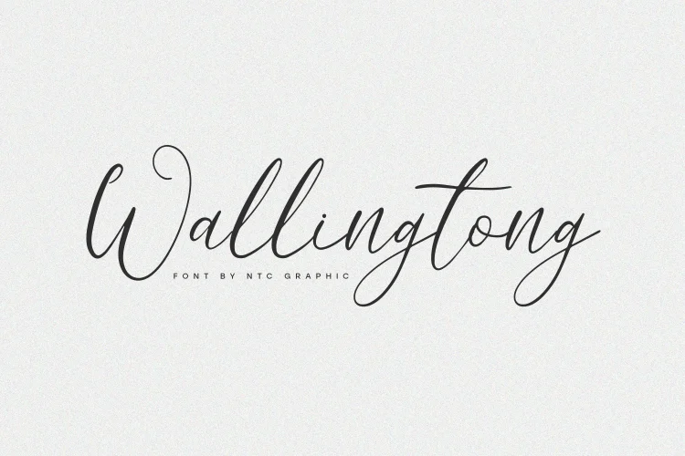 Elegant Script Font