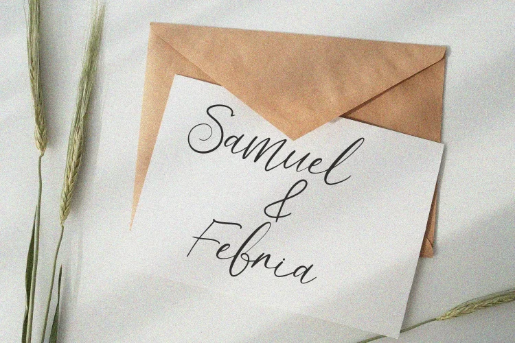 Elegant Script Font