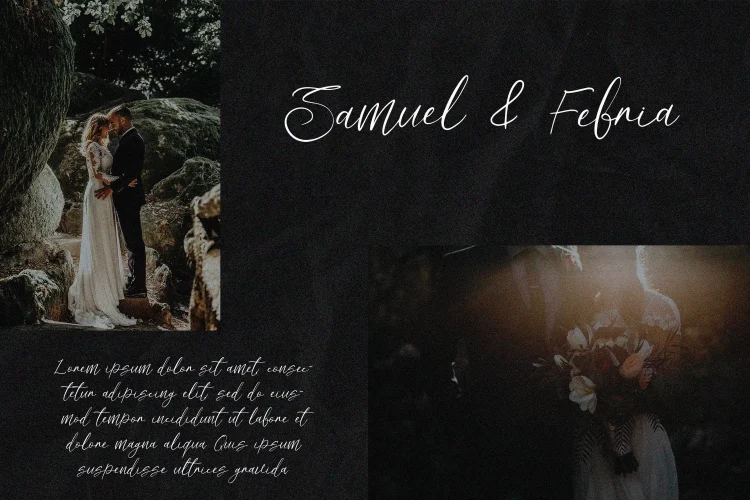 Elegant Script Font