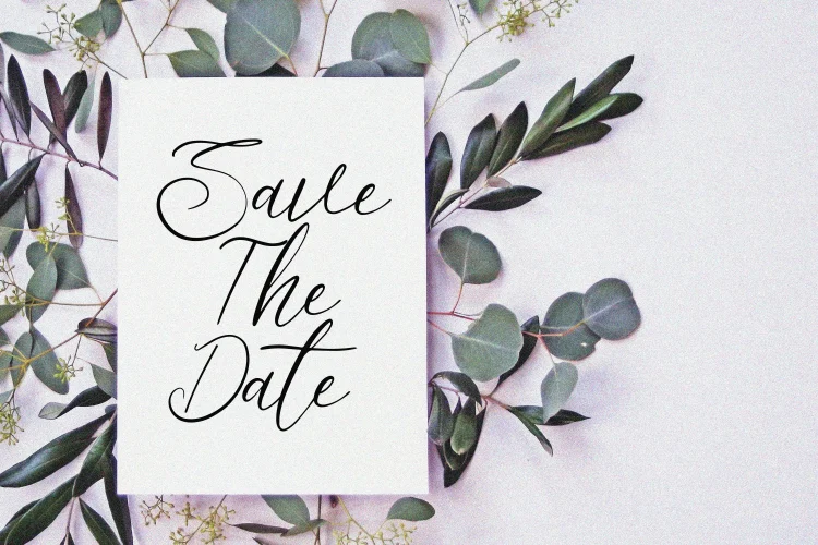 Elegant Script Font
