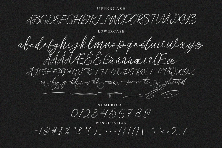 Elegant Script Font