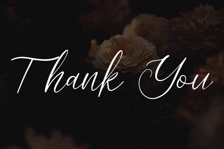 Elegant Script Font
