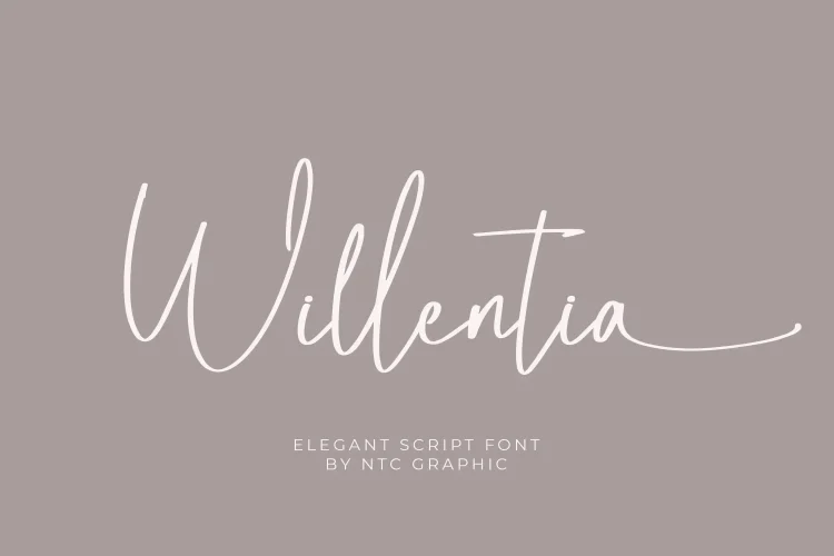 Elegant Script Font