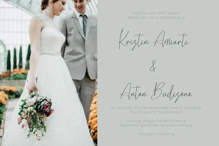 Elegant Script Font