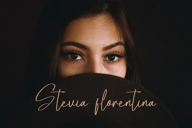 Elegant Script Font