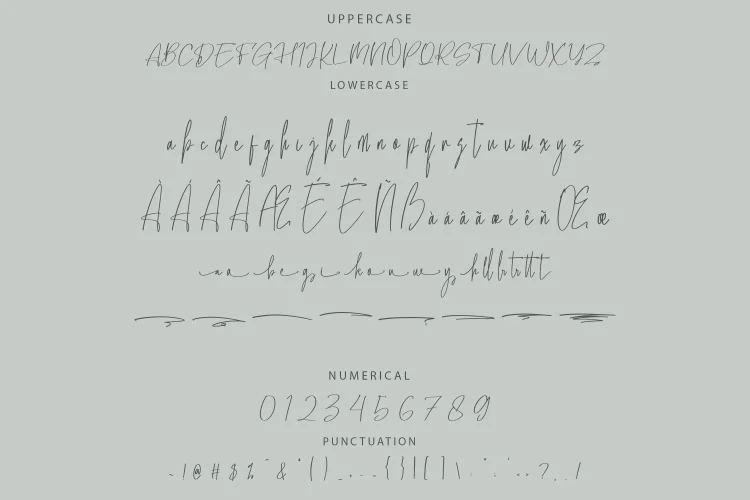 Elegant Script Font