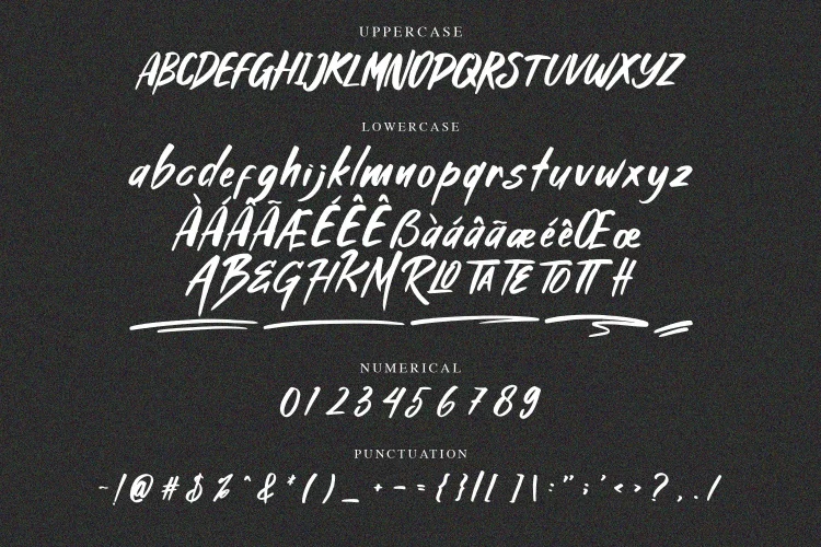 Handwritten Brush Font