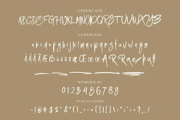 Handwritten Font
