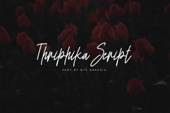 Handwritten Font