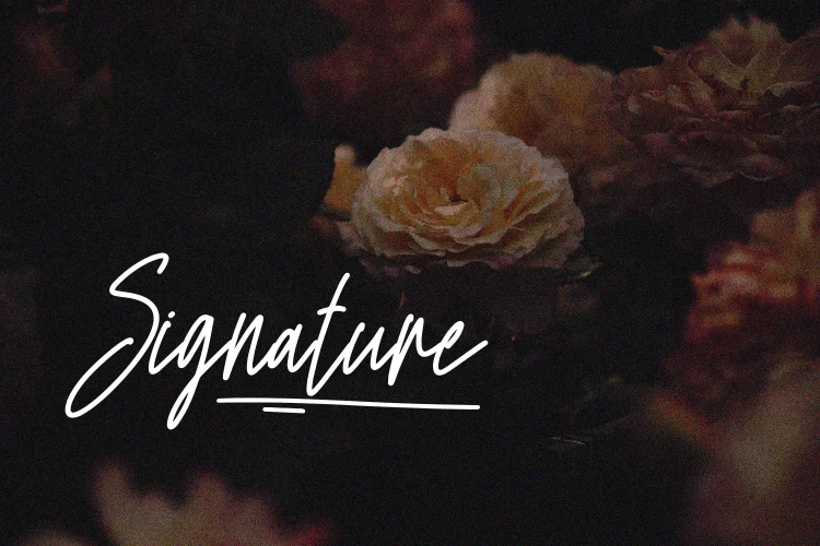 Handwritten Font