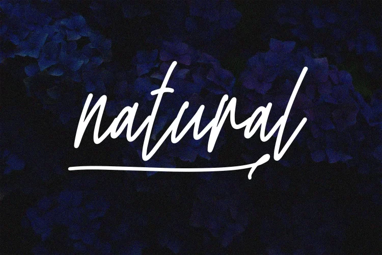 Handwritten Font