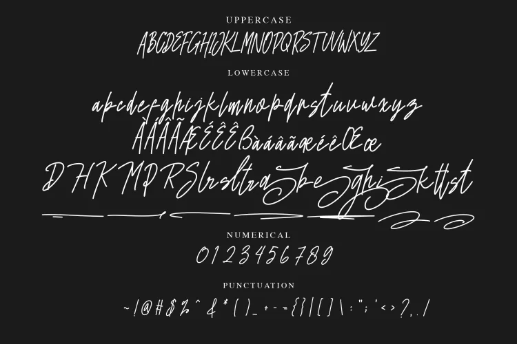 Handwritten Font