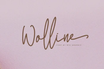 Minimalist Script Font