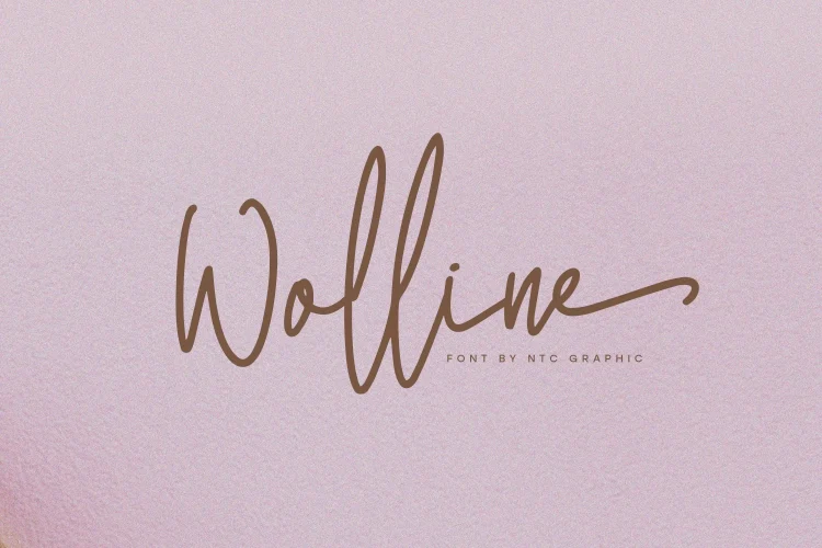 Minimalist Script Font