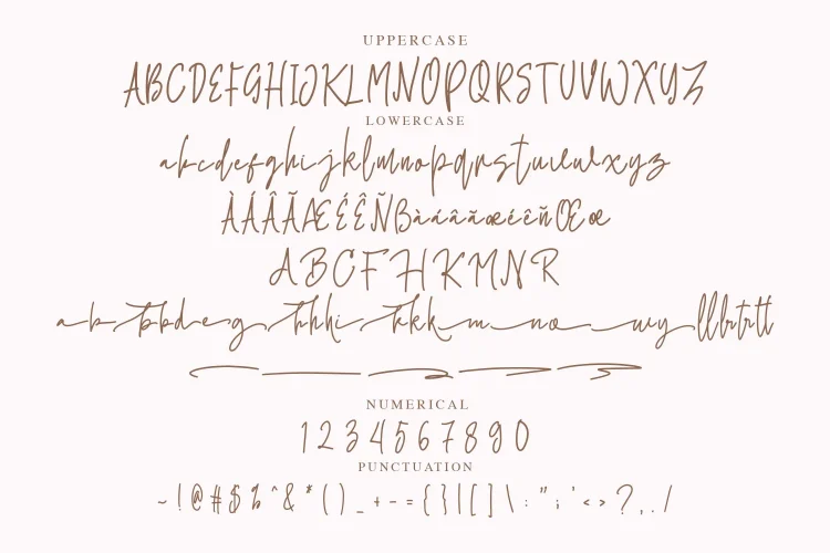 Minimalist Script Font