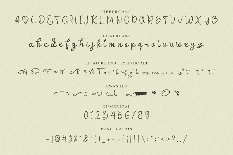 Monoline Script Font