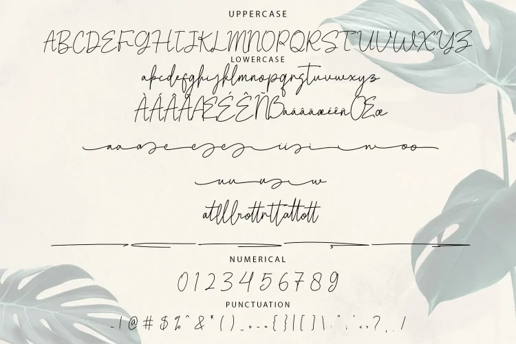 Monoline Script Font