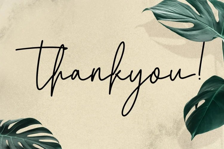 Monoline Script Font