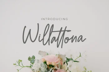 Monoline Script Font