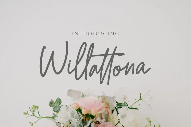 Monoline Script Font