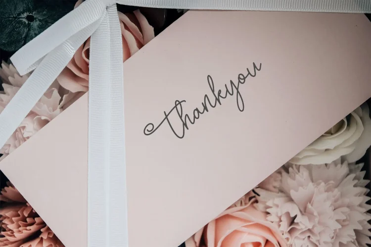 Monoline Script Font