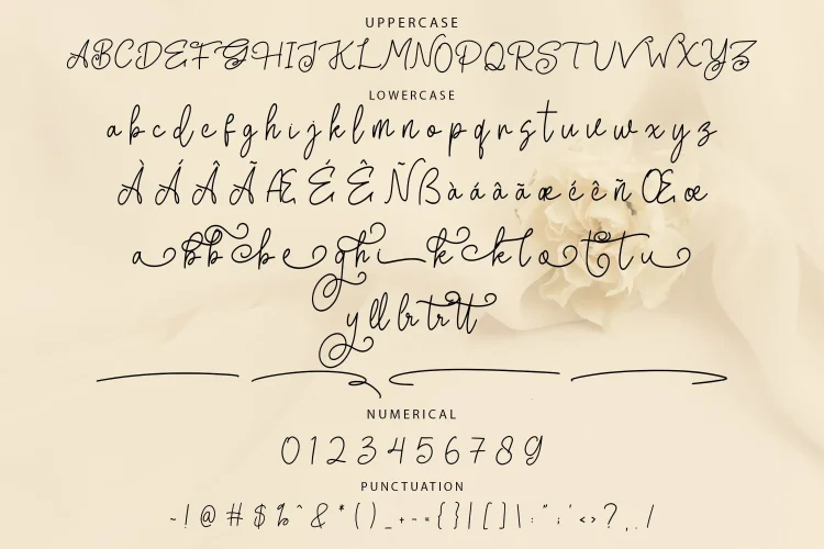 Monoline Script Font