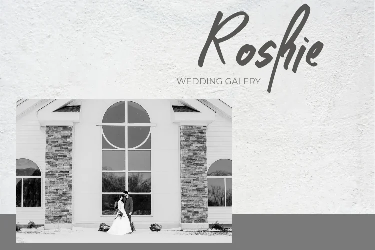 Script Brush Font