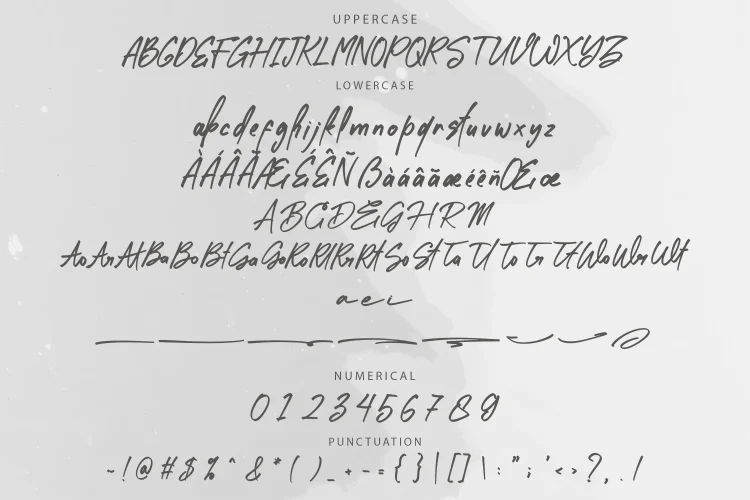 Script Brush Font