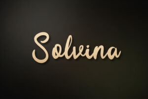 Elegant Script Font