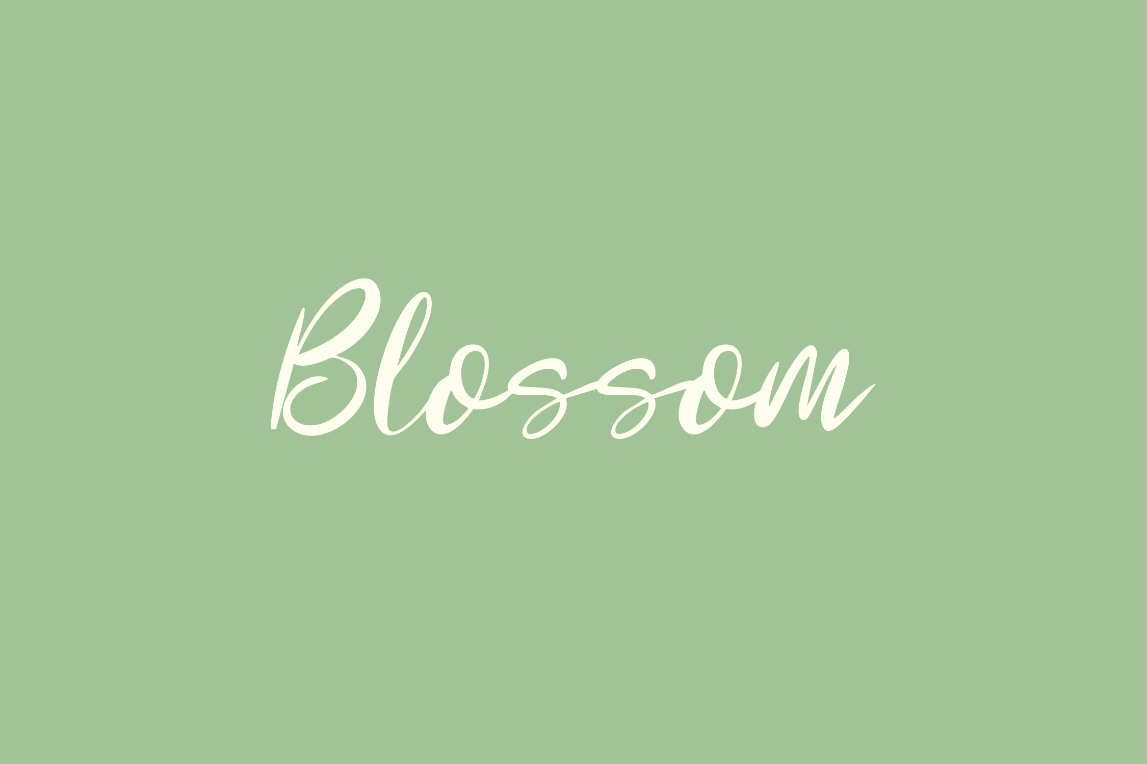 Feminine Script Font